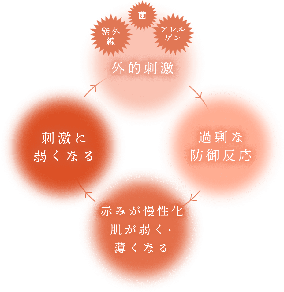 外的刺激→過剰な防御反応→赤みが慢性化、肌が弱く・薄くなる→刺激に弱くなる→