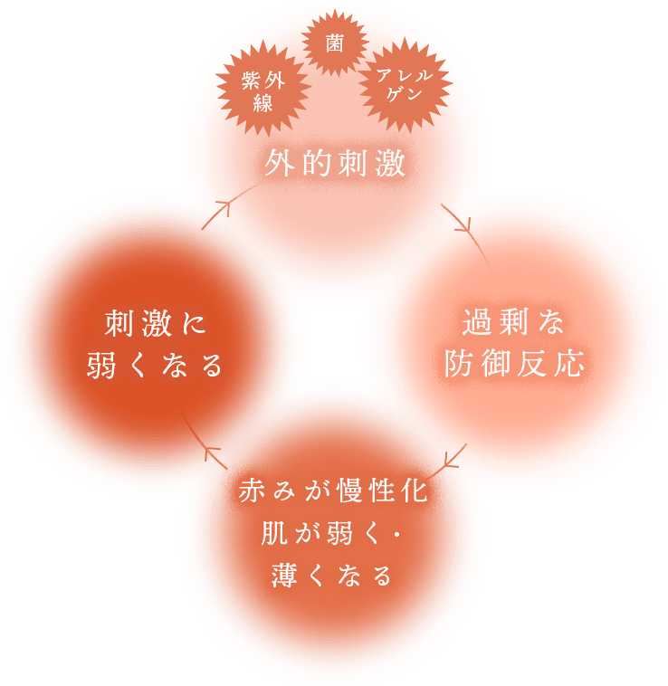 外的刺激→過剰な防御反応→赤みが慢性化、肌が弱く・薄くなる→刺激に弱くなる→
