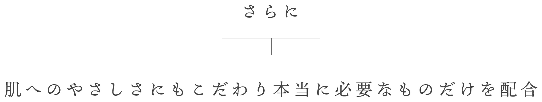 肌へのやさしさにもこだわり本当に必要なものだけを配合「7の無添加」