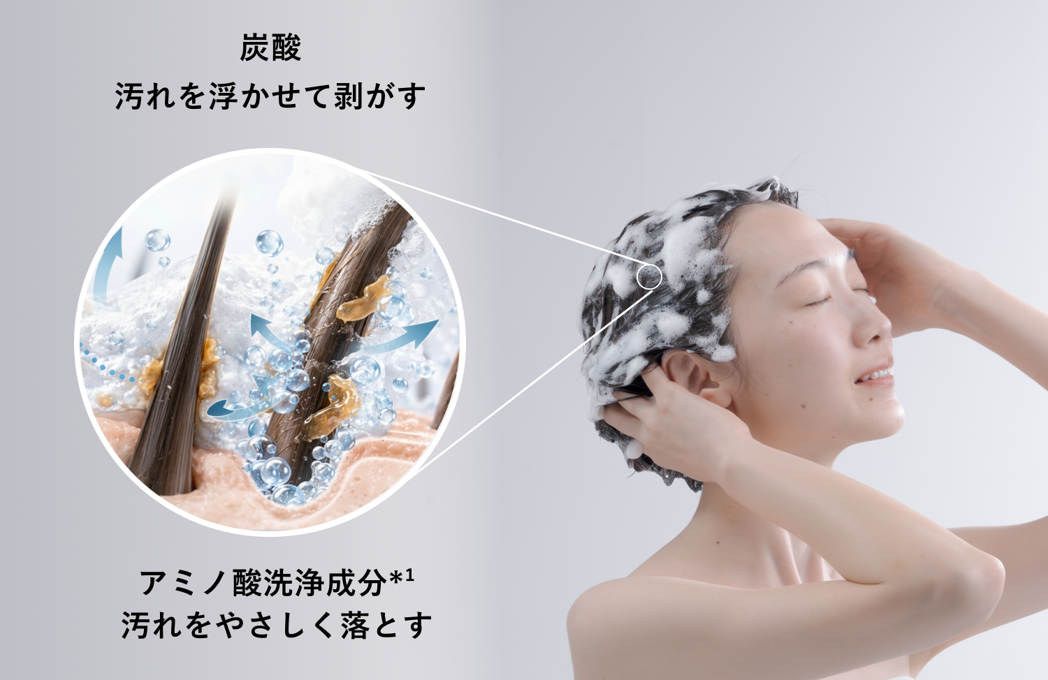 本日発売】MEGLY SCALP CLEAR FOAM SHAMPOO発売開始！
