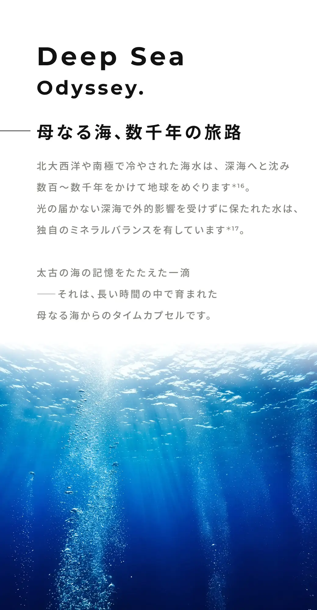 母なる海、数千年の旅路