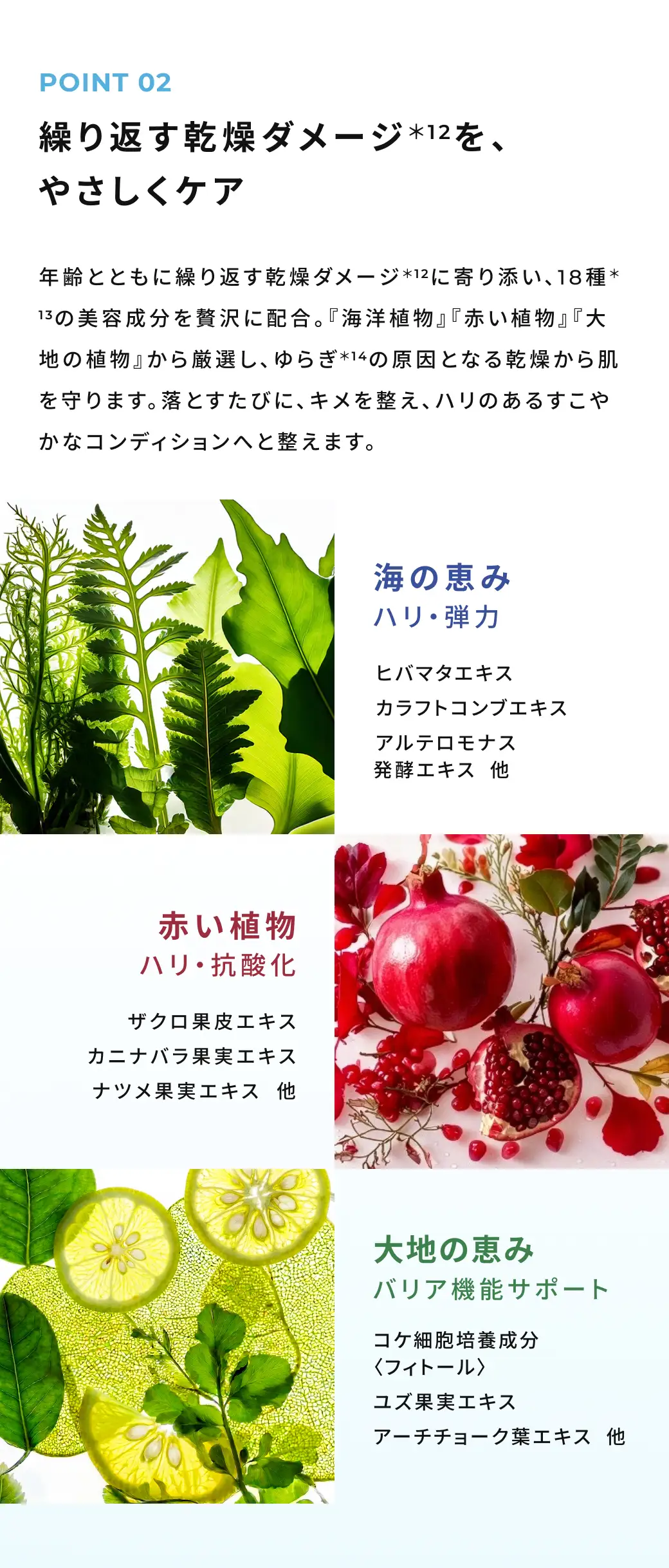 繰り返す乾燥ダメージを、やさしくケア