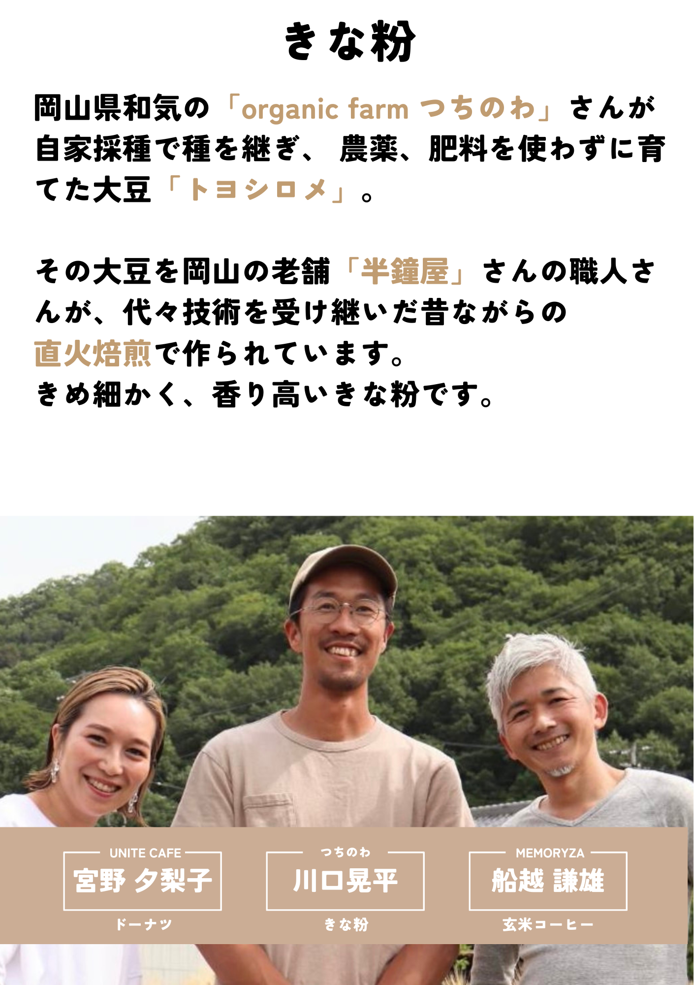 きな粉シュガー（5個分）