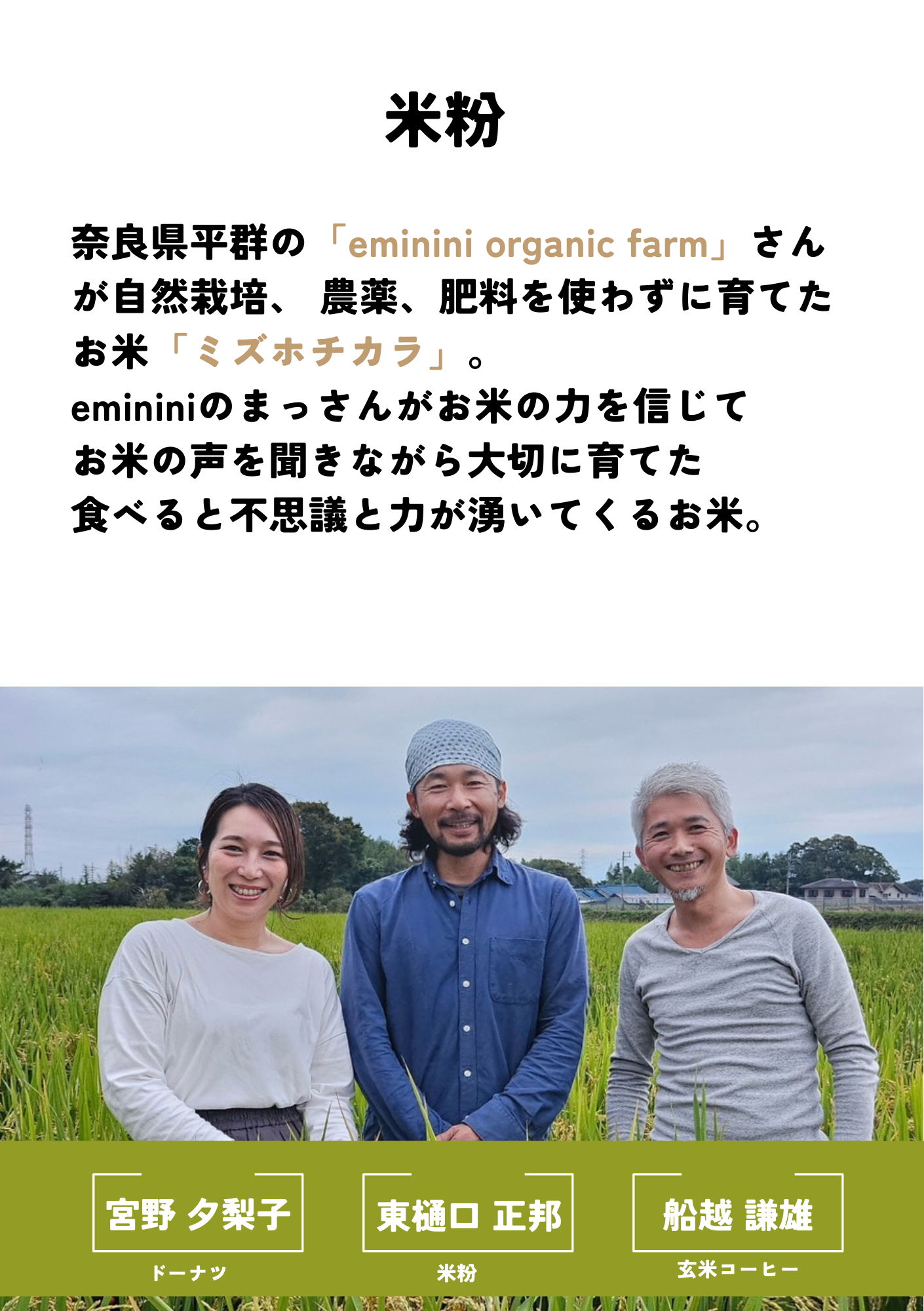 【大切な方への贈り物に】もちもち米粉ドーナツ5個入り（冷凍）玄米コーヒーシュガー付 バリエーション: ドーナツ5個＆玄米コーヒーシュガー1袋
