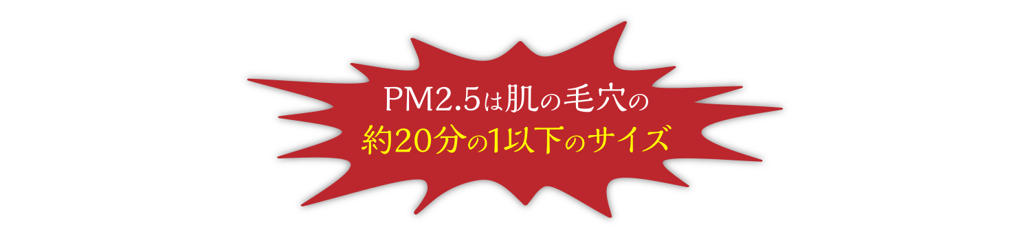 PM2.5は肌の毛穴の約20分の1以下のサイズ