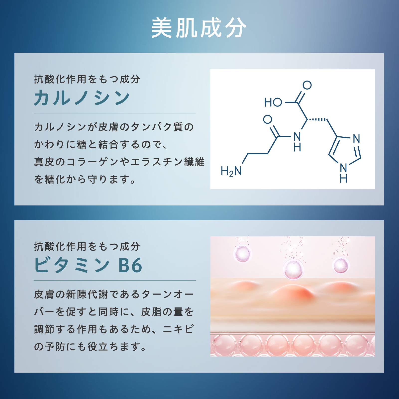 【定期コース】 C's FACE WASH