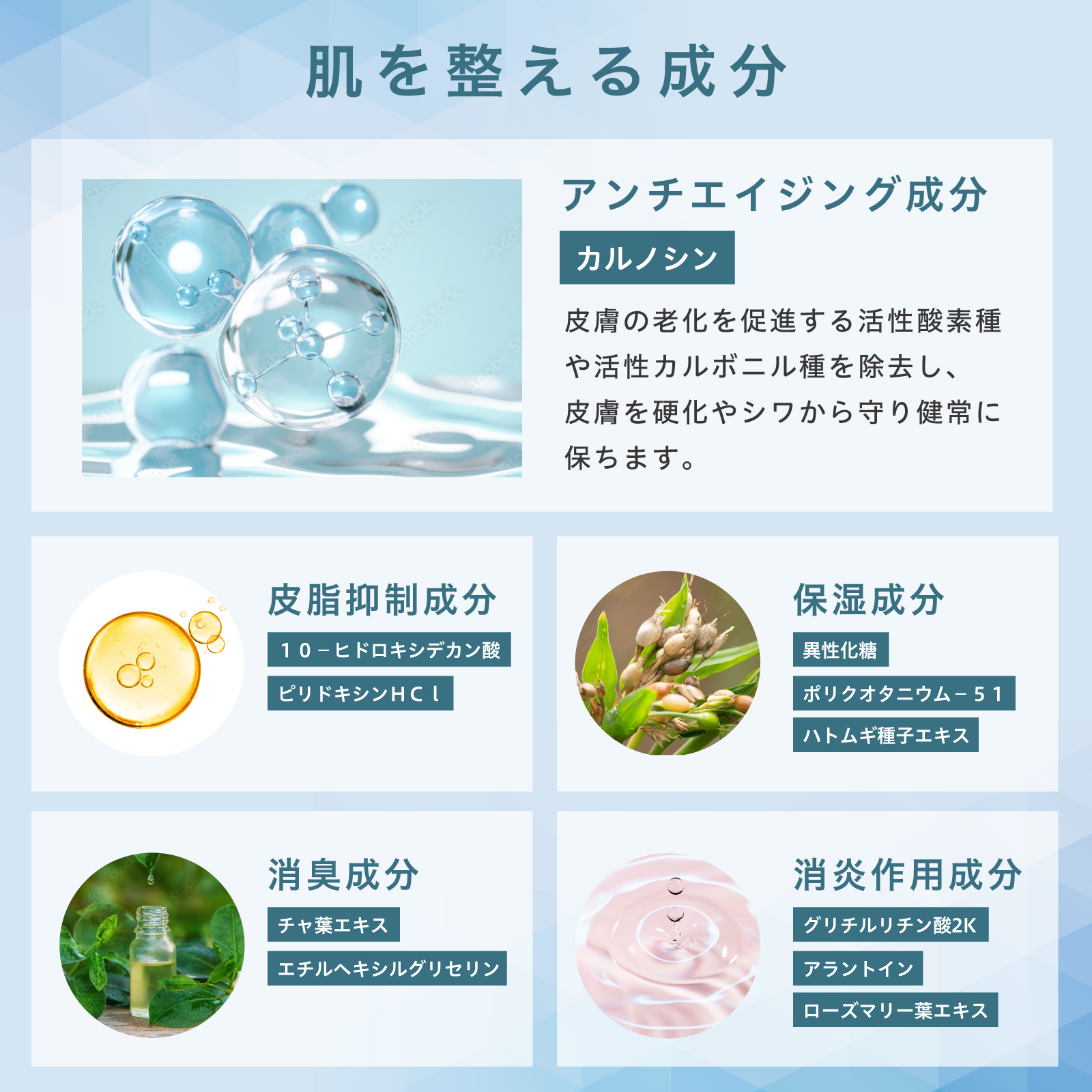 【定期コース】 C's FACE LOTION