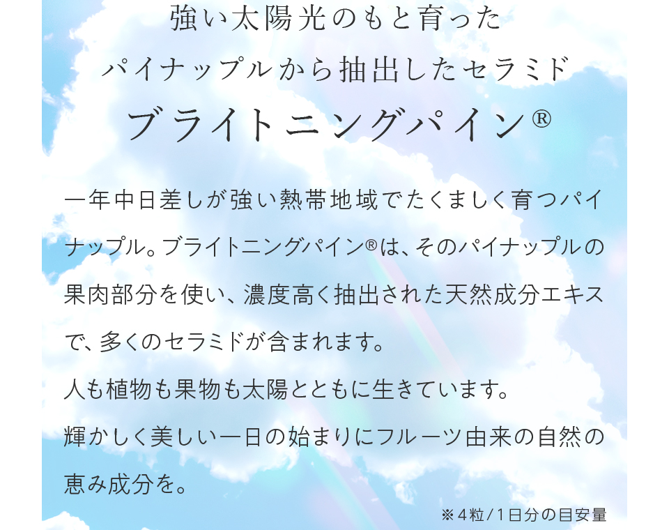 ブライトニングパイン