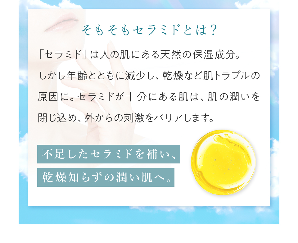 そもそもセラミドとは？