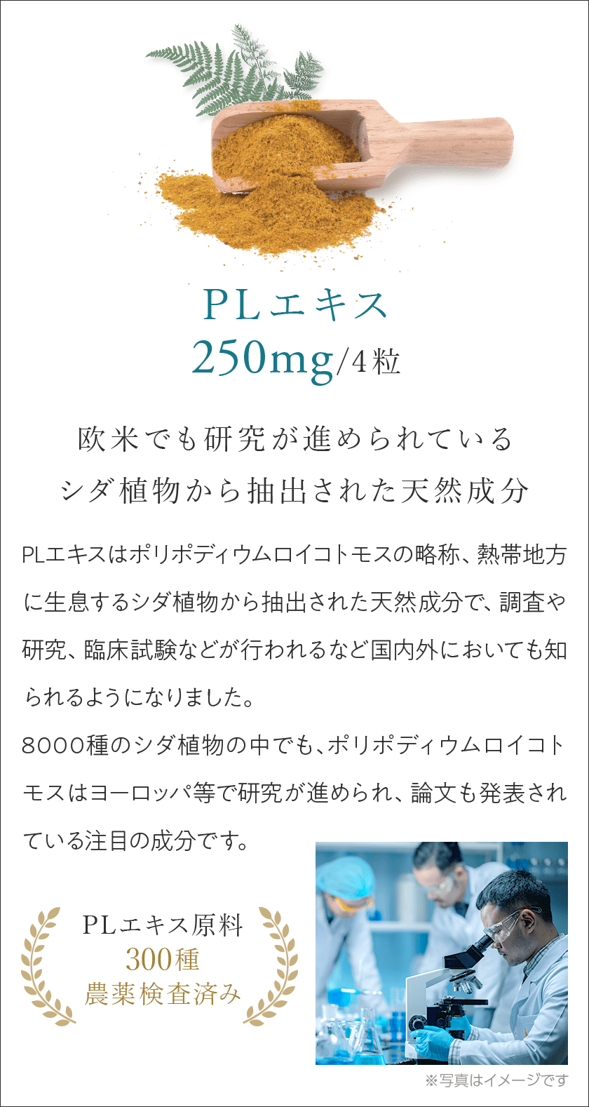 PLエキス250mg