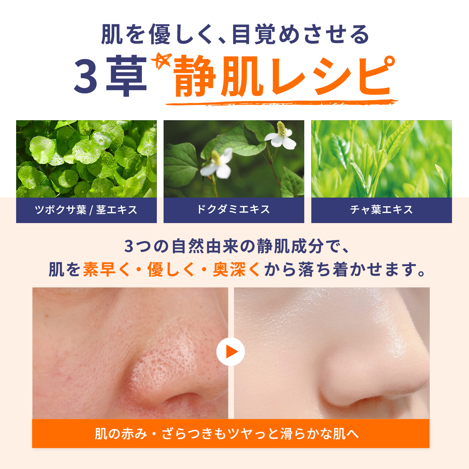 DOPAMY ニューロペップ８Ｒトナー