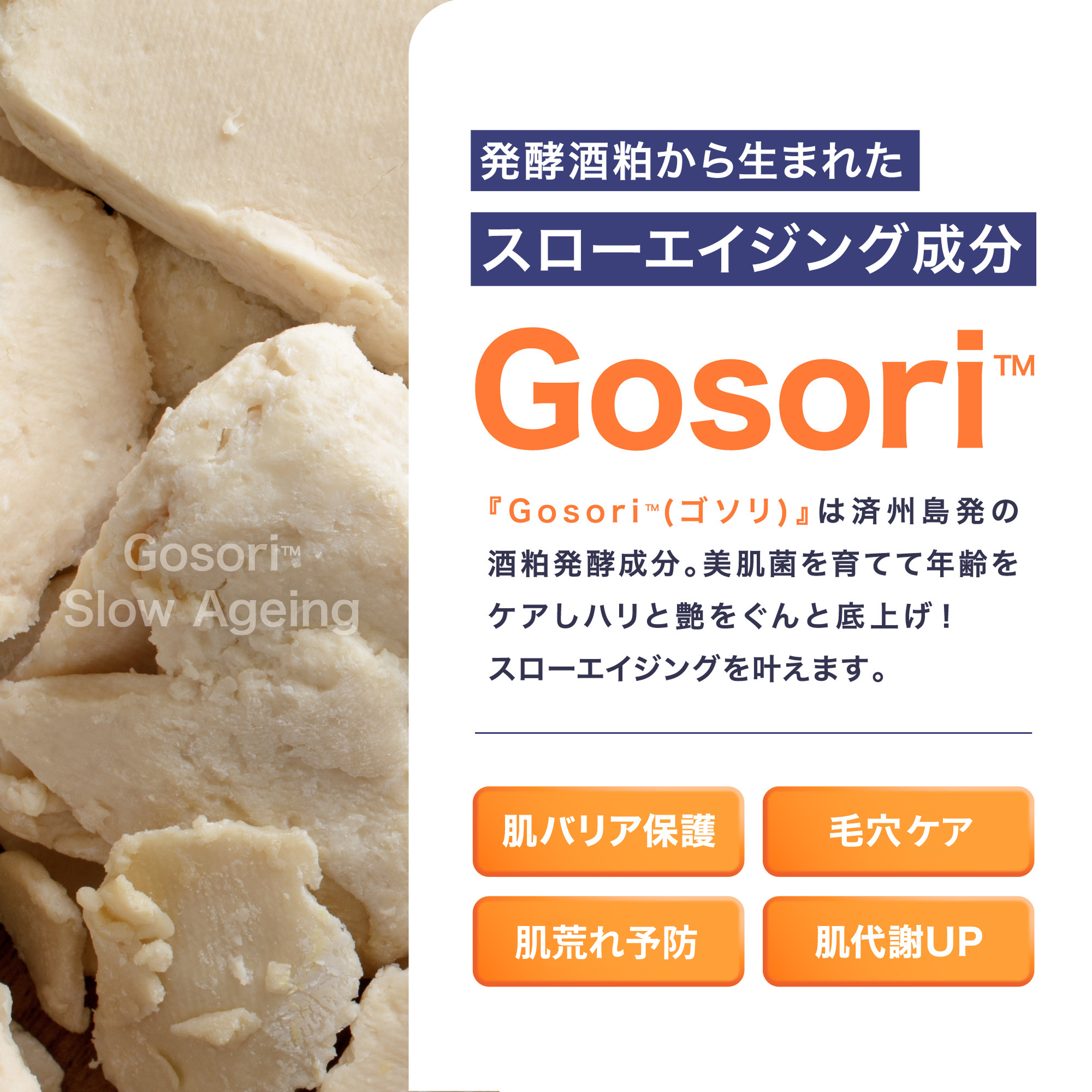 DOPAMY ニューロペップ８Ｒトナーパッド