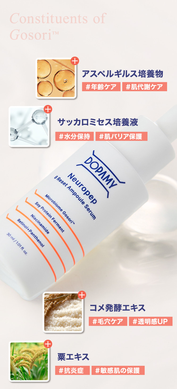 アスペルギルス培養物 サッカロミセス培養液