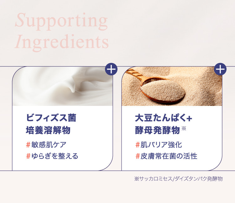 ビフィズス菌培養溶解物 大豆たんぱく+酵母発酵物