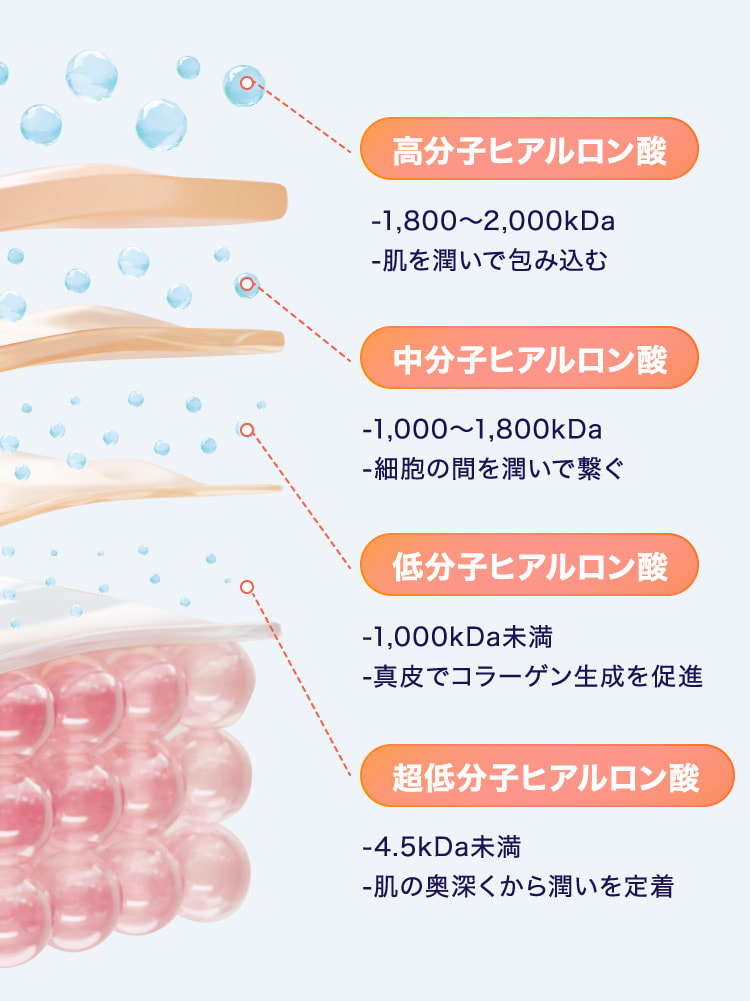 高分子ヒアルロン酸 中分子ヒアルロン酸 低分子ヒアルロン酸 超低分子ヒアルロン酸