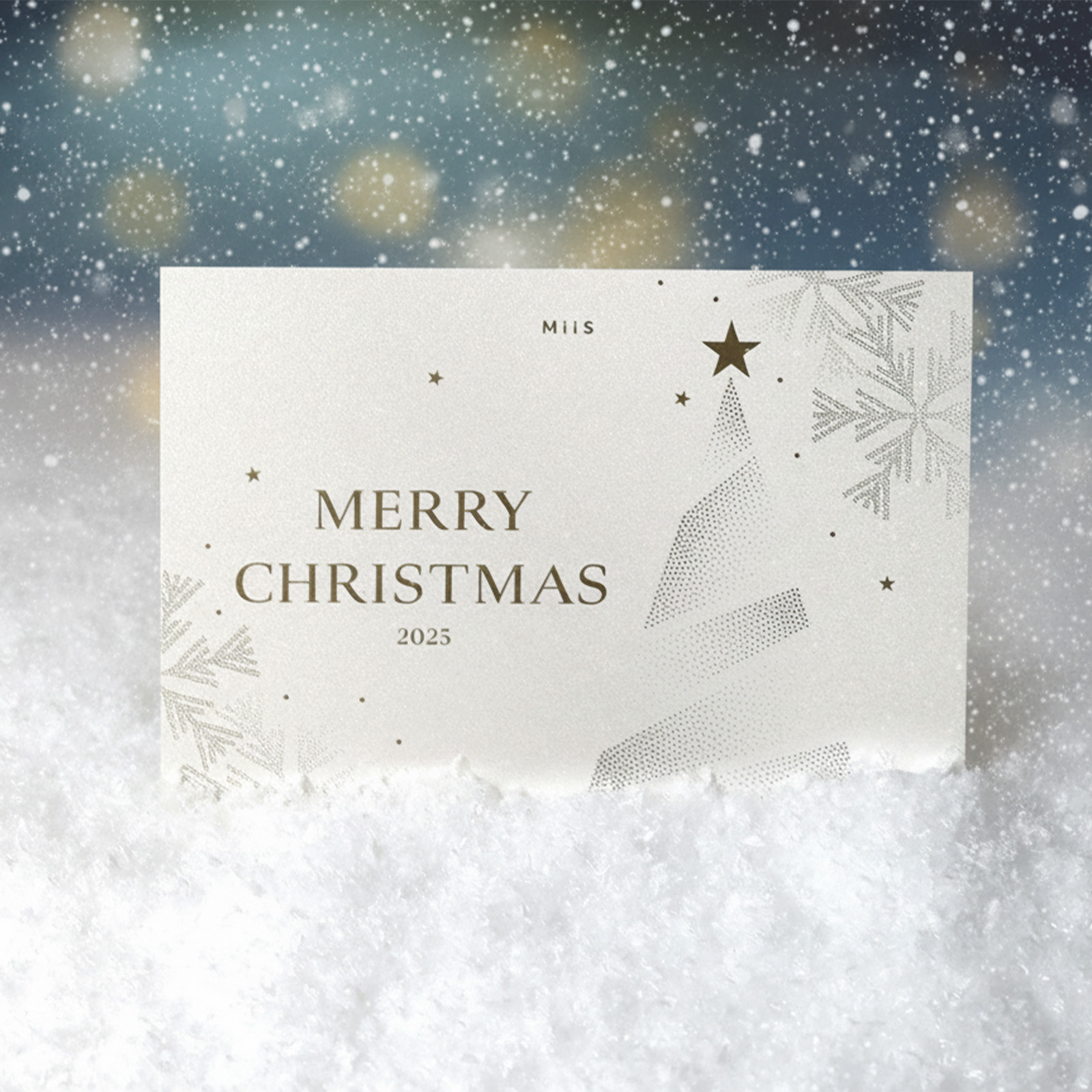 MiiS クリスマスBOX2025の画像
