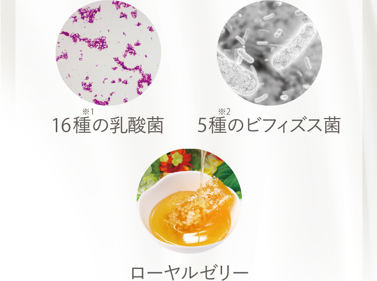 16種※1の乳酸菌 5種※2のビフィズス菌 ローヤルゼリー