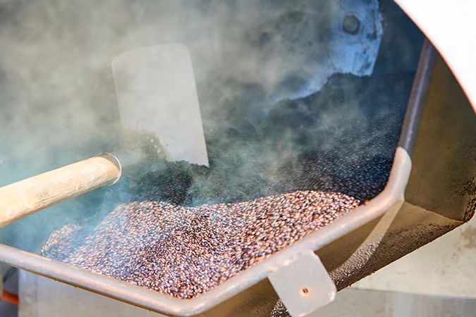 有機栽培麦からつくった水出し麦茶｜120g（10g × 12袋）