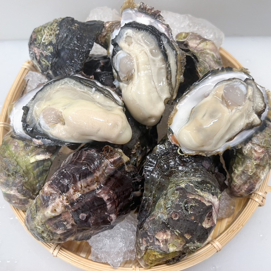 真牡蠣｜20個入り