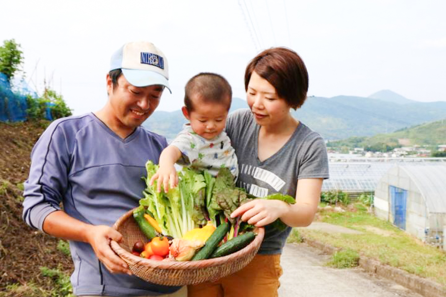 有機栽培 唐津の旬野菜セット