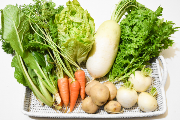 有機栽培 唐津の旬野菜セット