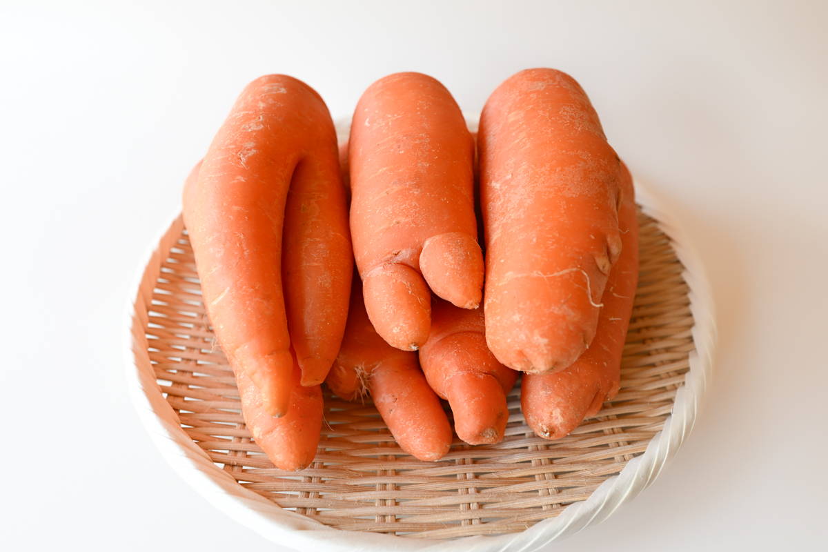 【お得な規格外】有機栽培 にんじん｜1.4kg