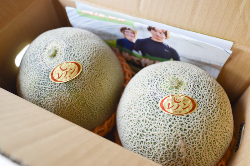 ＜再入荷待ち＞ 特別栽培 赤肉レノンメロン｜2玉