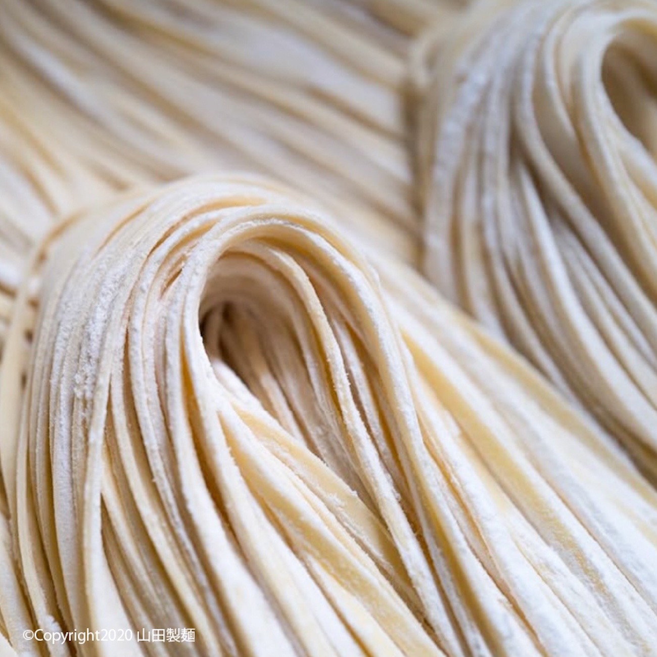 無添加 こだわり小麦の生パスタ｜5食セット