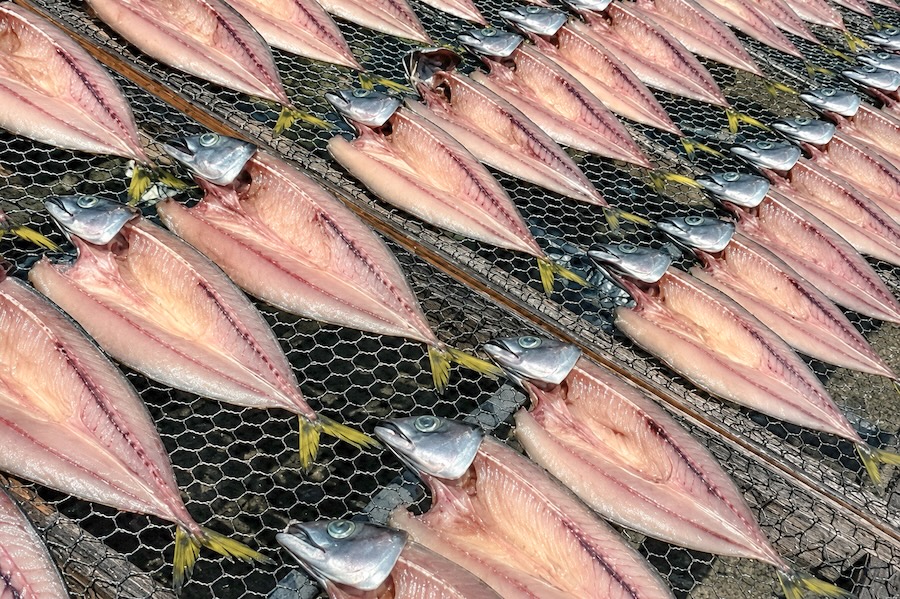 無添加・無着色 天日干し イサキ