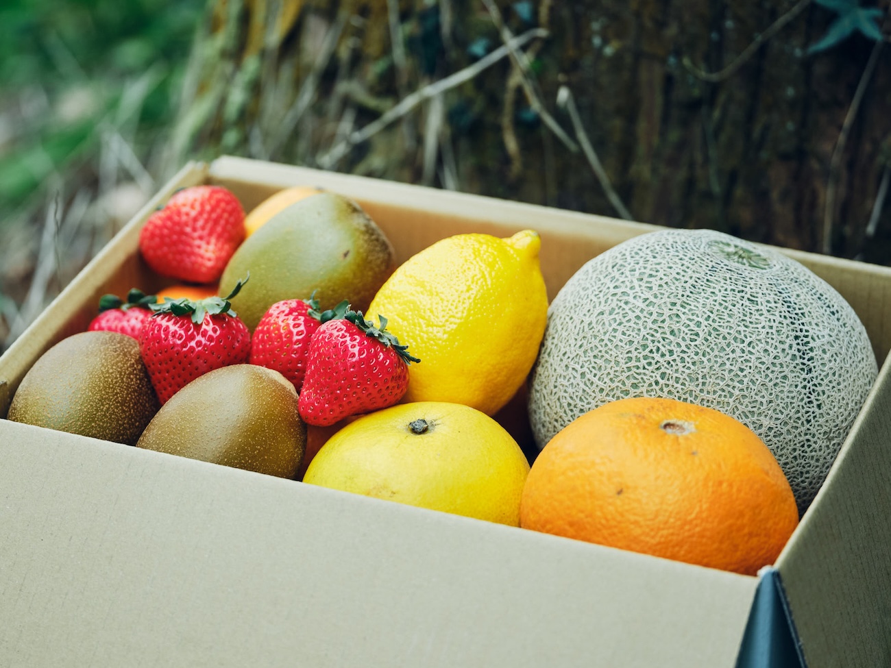 【月替わりおまかせ】旬のフルーツの詰め合わせ FRUIT BOX｜Mサイズ
