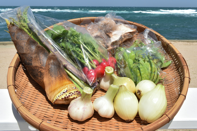 有機栽培 志賀島の旬野菜セット｜Mサイズ