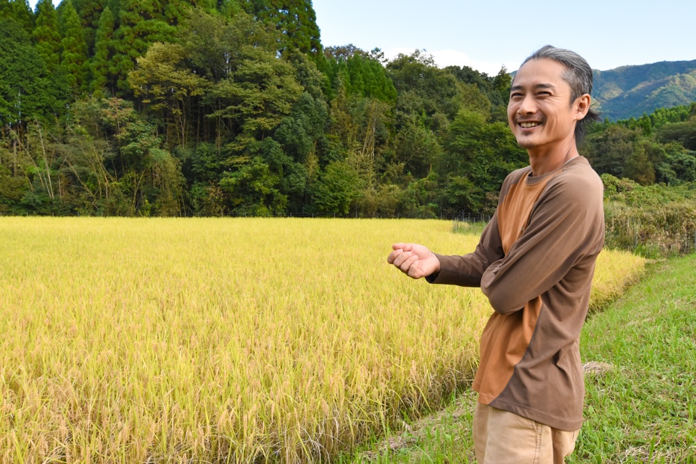自然栽培 「にこまる」 白米｜10kg