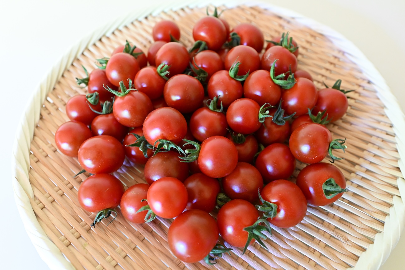 ＜再入荷待ち＞ 特別栽培 ミニトマト｜1kg