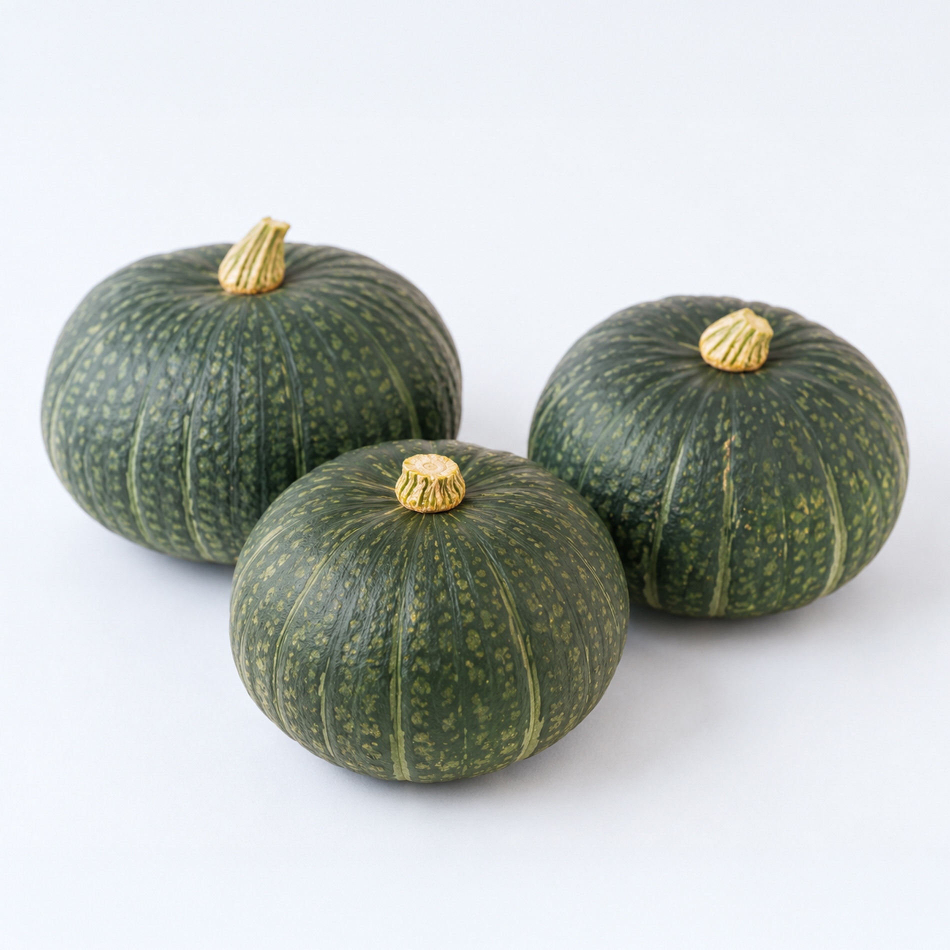 【月替わりおまかせ】旬の野菜の詰め合わせ VEGE BOX｜Lサイズ