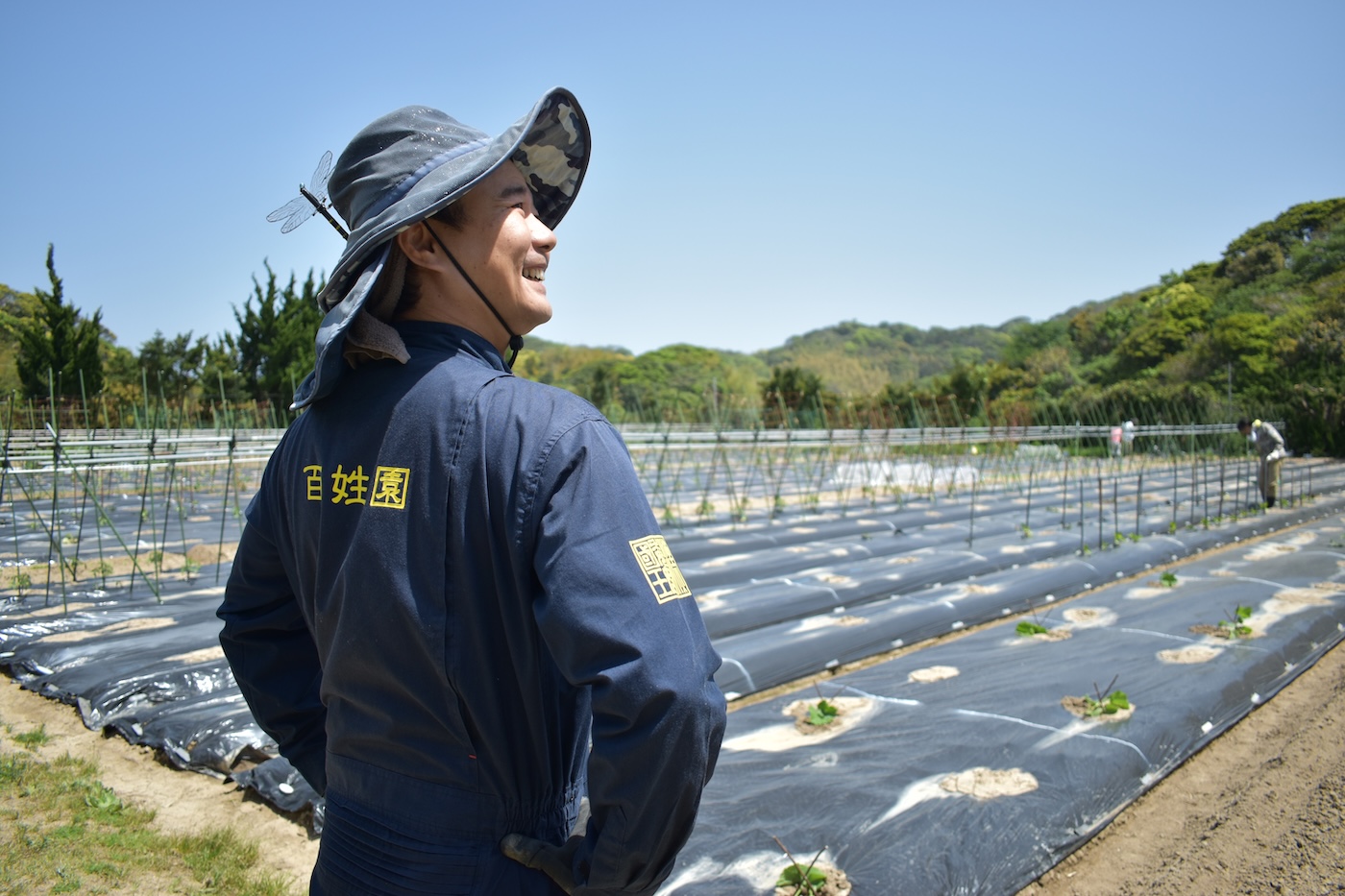 有機栽培 志賀島の旬野菜セット｜Mサイズ