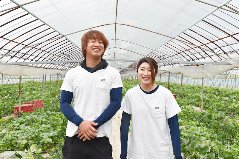 ＜再入荷待ち＞ 特別栽培 赤肉レノンメロン｜2玉