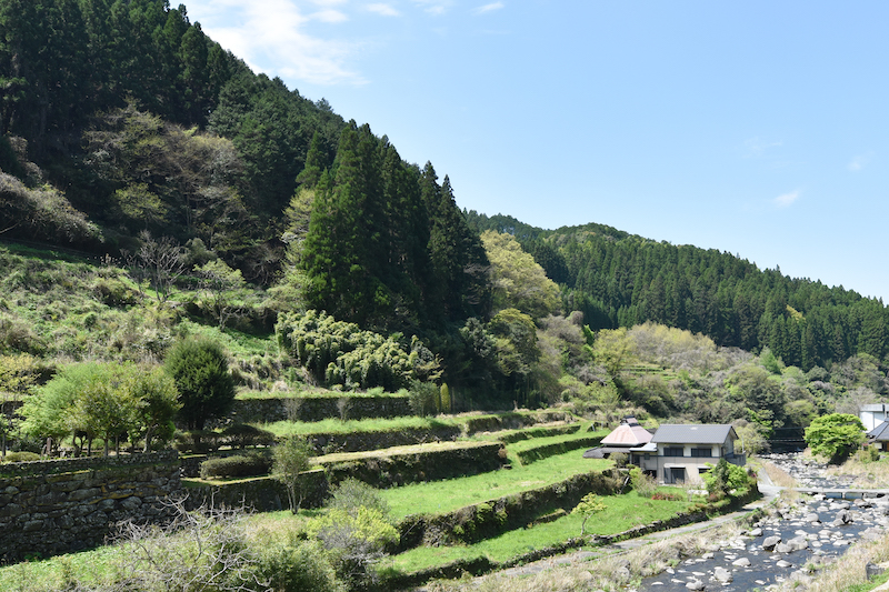 発酵飼料 平飼い卵 「山もりたまご」