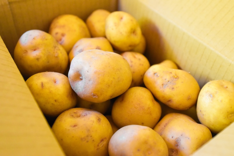 栽培期間中農薬不使用 じゃがいも 「ニシユタカ」｜3kg