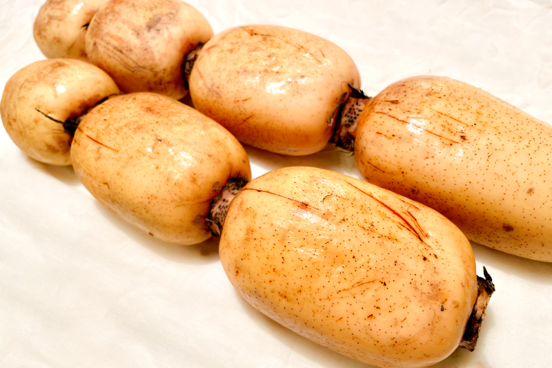 ＜再入荷待ち＞ 【お得な規格外】特別栽培 蓮根｜4kg