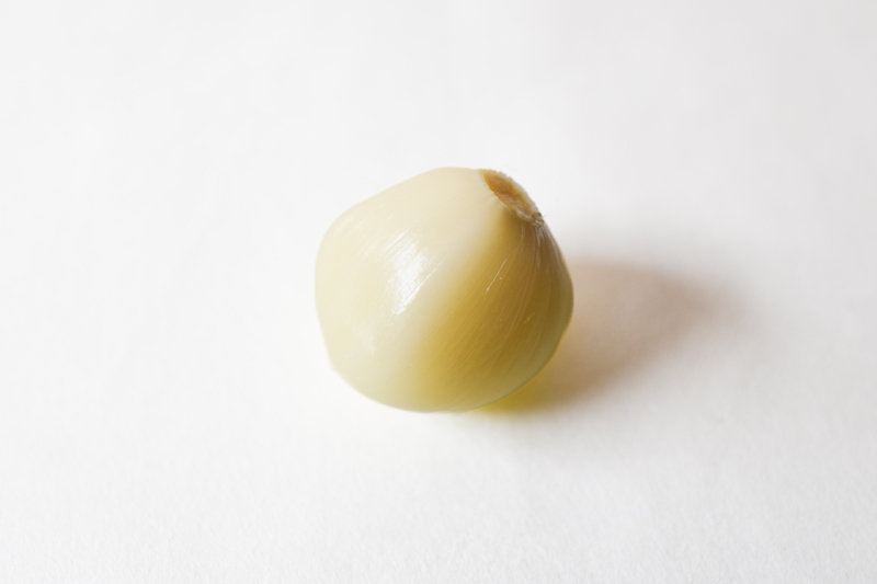 【季節の手しごと】にんにく醤油づくりセット