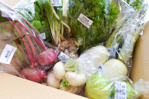 有機栽培 唐津の旬野菜セット