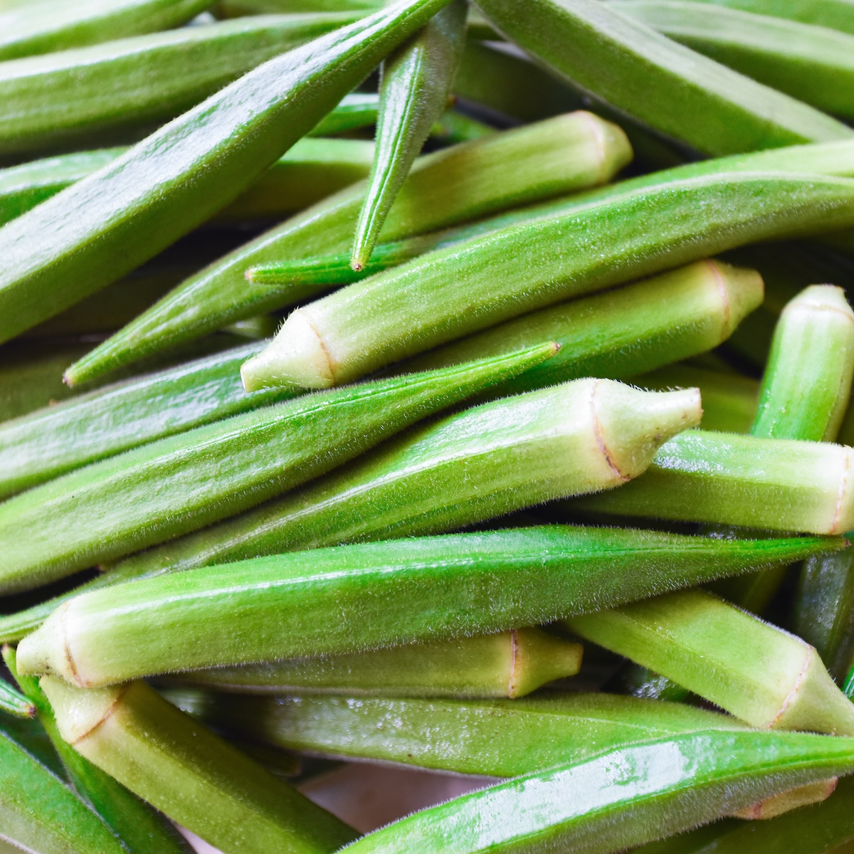 【月替わりおまかせ】旬の野菜の詰め合わせ VEGE BOX｜Mサイズ