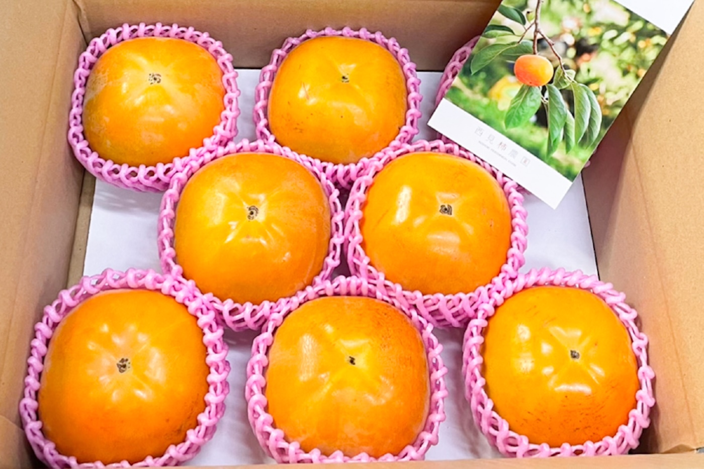樹上完熟 太秋柿｜5kg