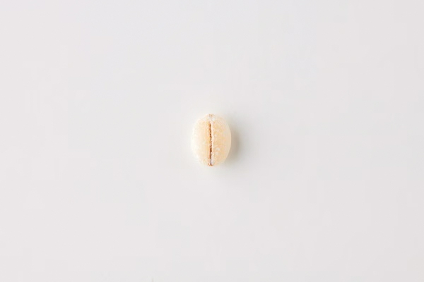 有機栽培麦使用 まる麦｜400g