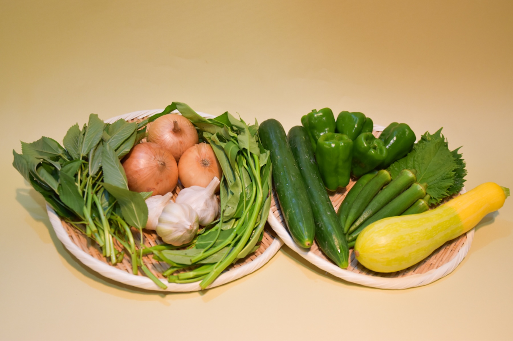 有機栽培 糸島の旬野菜セット｜Mサイズ
