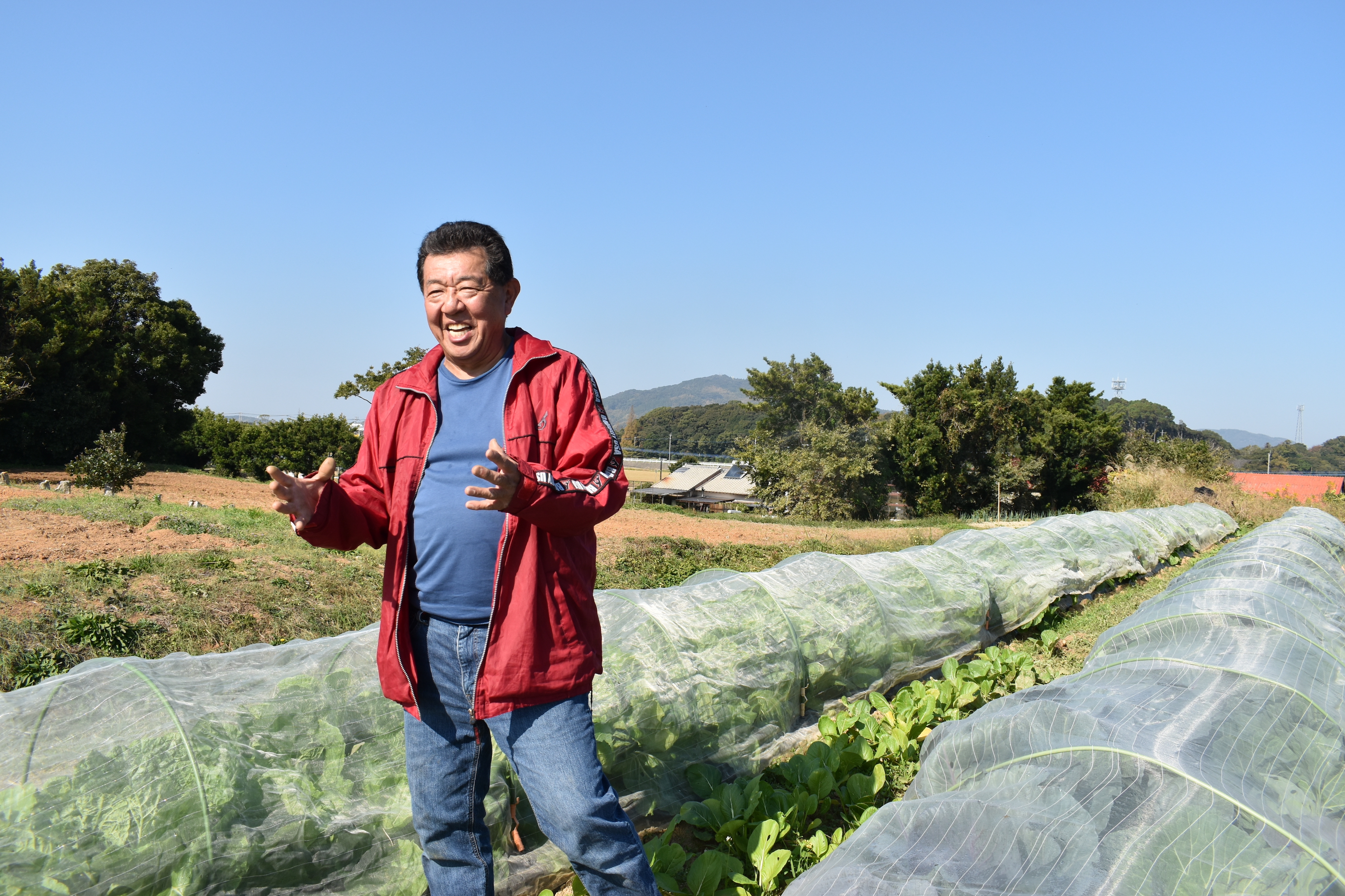 有機栽培 糸島の旬野菜セット｜L