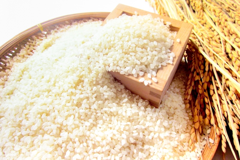 栽培期間中農薬不使用 「七城米・ひのひかり」白米｜3kg