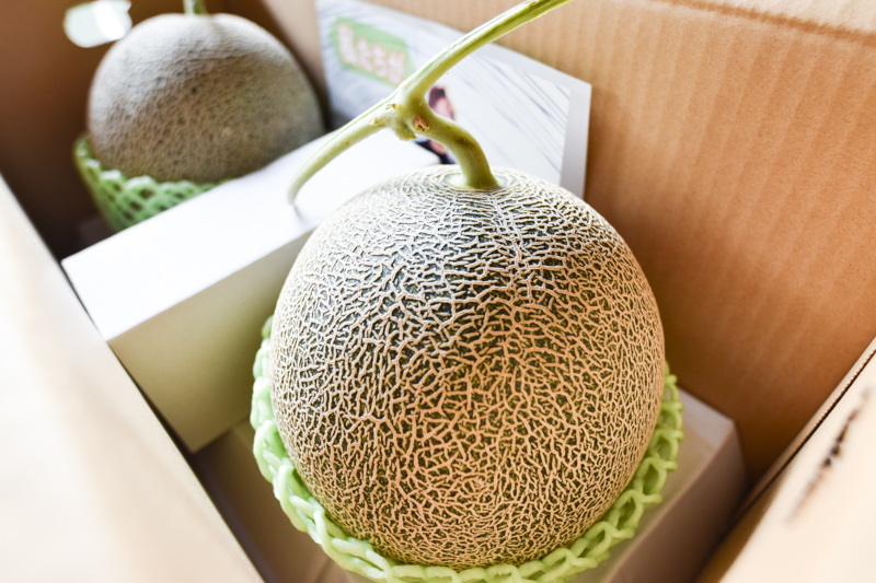 ＜再入荷待ち＞ 特別栽培 肥後グリーンメロン｜2玉