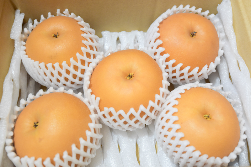 ＜再入荷待ち＞ 季節の梨｜5kg（7〜9個）