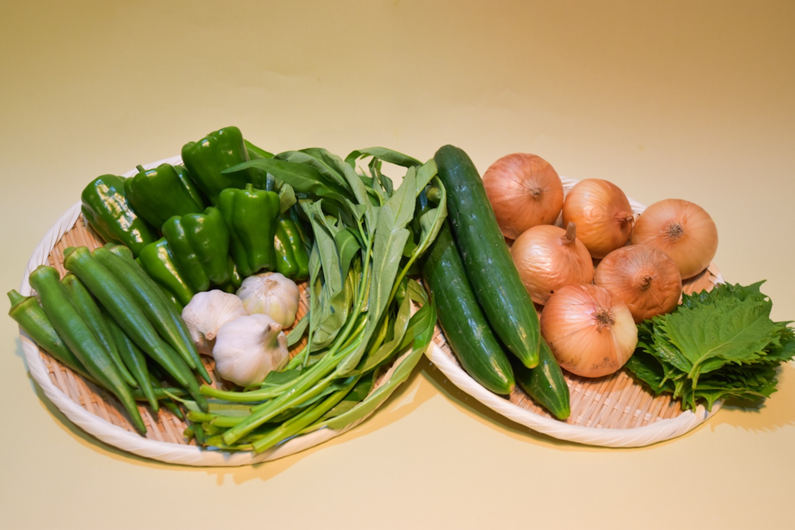 有機栽培 糸島の旬野菜セット｜Lサイズ